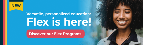 Mega Flex banner